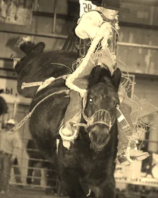 Bulls And Broncs Lubbock
