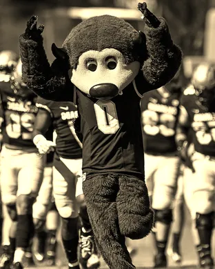 Colorado Buffaloes Boulder